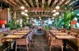 plants, dinner, tables and chairs