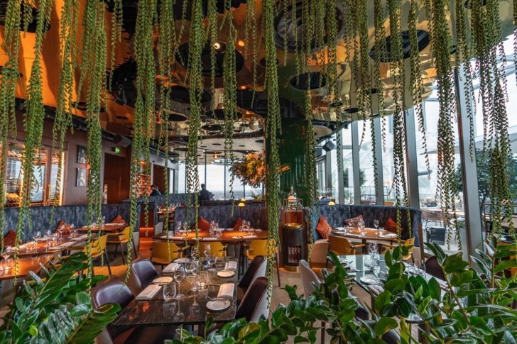dining, leaves dangling from the ceiling, plants, chairs, tables, cutlery, plates
