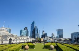 summer rooftop, sky view, grass benches